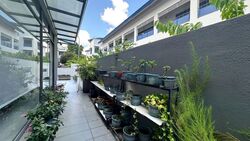 Jalan Hock Chye (D19), Semi-Detached #575033001